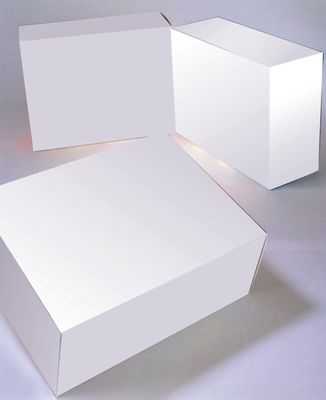 कस्टम प्लास्टिक ब्लिस्टर Styrene आलेखक काटने डिजिटल सीएडी नमूना पैकेजिंग